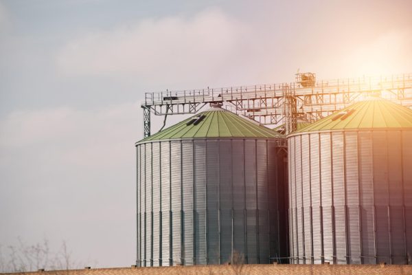 Silozuri de cereale: reguli de depozitare și control al pierderilor